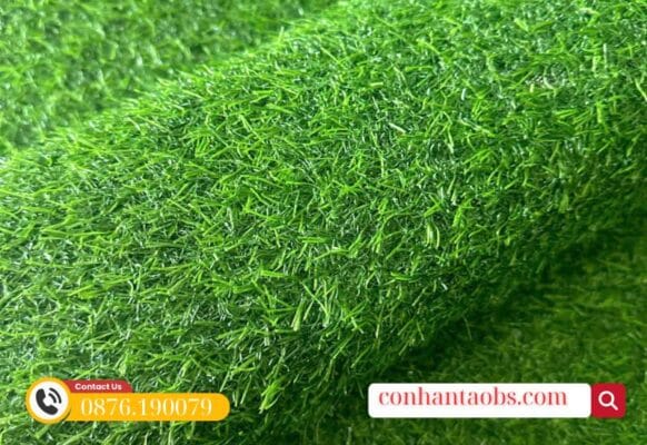 Màu sắc tự nhiên, đẹp mắt