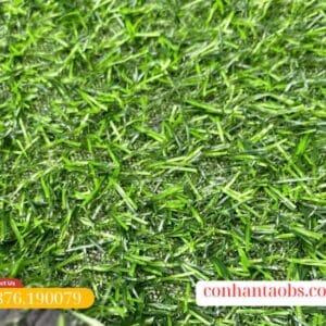 Mật độ sợi tốt, phù hợp cho trải quán, sân vườn