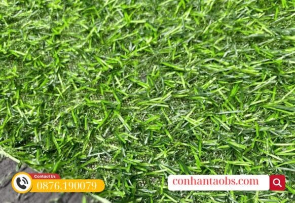 Mật độ sợi tốt, phù hợp cho trải quán, sân vườn