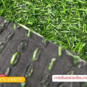 Điểm nổi bật là đế không ra mũn đen