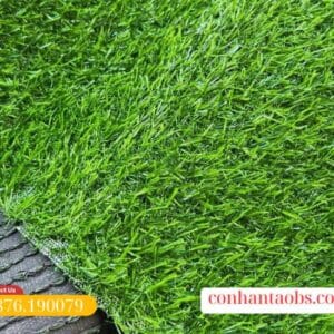 Mặt cỏ đều màu, chất lượng