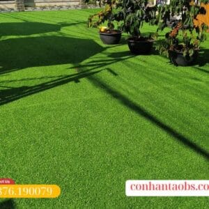 Ứng dụng trải quán cà phê