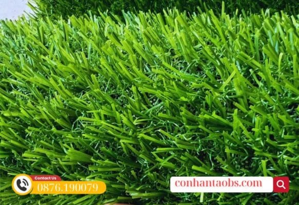 Màu xanh cỏ trang trí dễ dàng