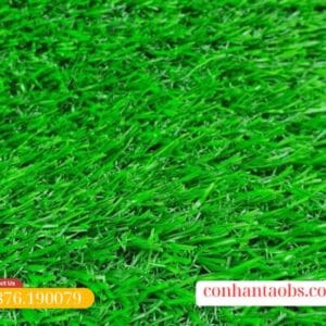 Màu xanh non đặc trưng dưới ánh sáng