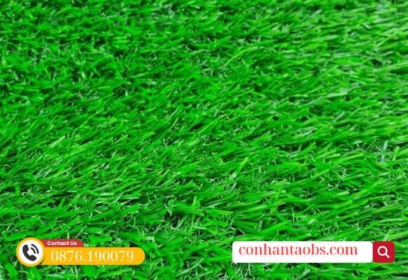 Màu xanh non đặc trưng dưới ánh sáng