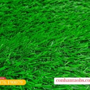 Màu sắc xanh non tự nhiên, thẩm mỹ cao