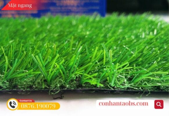 Mặt nhìn ngang của dòng cỏ 2cm cao cấp