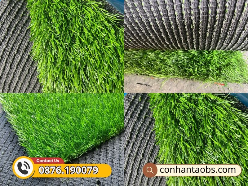 Thảm cỏ nhân tạo cao 3cm ccgrass giá tốt